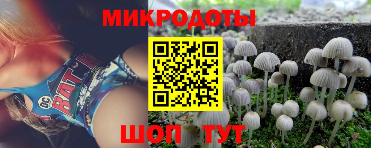 Псилоцибиновые грибы мицелий Вышний Волочёк